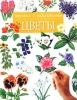Цветы Книжка с наклейками Издательства: АСТ, Астрель Мягкая обложка, 16 стр ISBN 5-17-012097-4, 5-271-03462-3, 0-7460-2997-7 Тираж: 10000 экз Формат: 84x108/16 (~205х290 мм) инфо 8485n.
