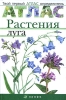 Растения луга Серия: Атлас родной природы инфо 1624h.